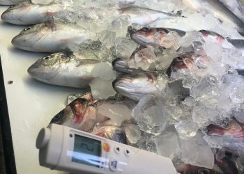 Perakende balık satış noktalarındaki denetimler yapılıyor