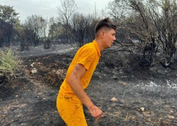Muğla, Balıkesir, Denizli, Aydın ve Manisa’da orman yangınları