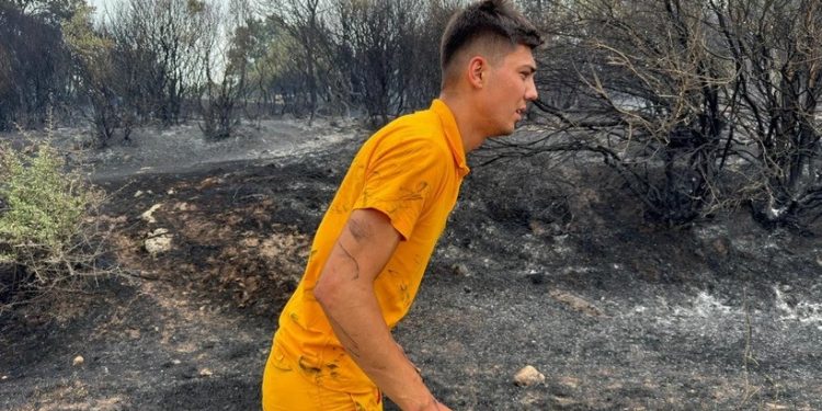 Muğla, Balıkesir, Denizli, Aydın ve Manisa’da orman yangınları