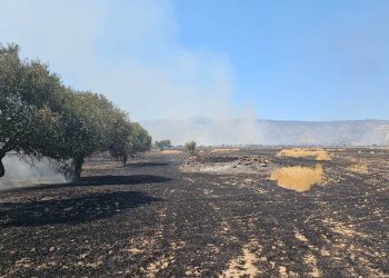 İncirli Mağara mevkiindeki yangın kısmen kontrol altına alındı
