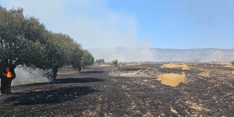 İncirli Mağara mevkiindeki yangın kısmen kontrol altına alındı