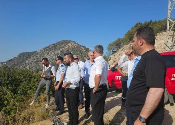 Tatlısu Belediye Başkanı Orçan yangına müdahale için yardım çağrısı yaptı