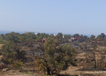 Karaağaç yangınının çıkış sebebi belli oldu