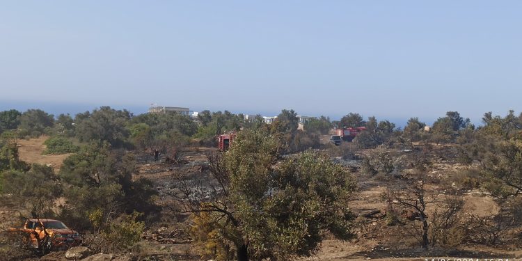 Karaağaç yangınının çıkış sebebi belli oldu