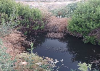 Lefke Çevre ve Ekoloji Derneği: “Gemikonağı’nda açık foseptik çukuru tehlike yaratıyor”