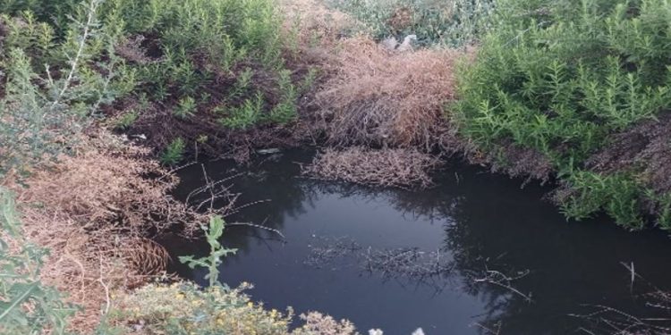 Lefke Çevre ve Ekoloji Derneği: “Gemikonağı’nda açık foseptik çukuru tehlike yaratıyor”