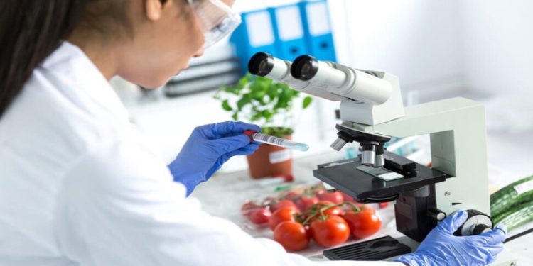 Yerli domatesle ithal sivri biberde limit üstü bitki koruma ürünü saptandı