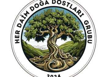 Yarın kaplumbağa yumurtlama alanı tespiti ve biyoçeşitlilik inceleme yürüyüşü yapılacak