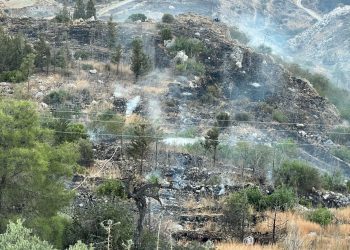 Alevkayası bölgesinde yangın