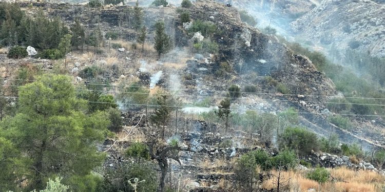 Alevkayası bölgesinde yangın
