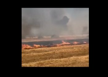 İncirli Mağara mevkiinde yangın!