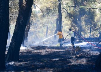 İzmir ve Balıkesir’deki orman yangınları kontrol altına alındı
