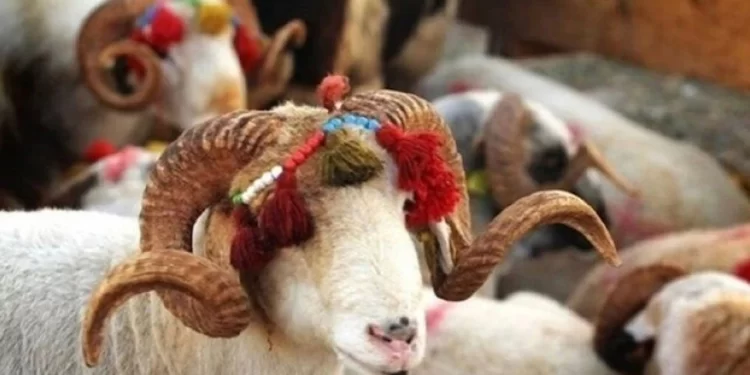 Bugün Kurban Bayramı’nın ikinci günü