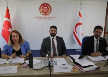 Meclis, İdari, Kamu ve Sağlık İşleri Komitesi gündemindeki yasaları ele aldı