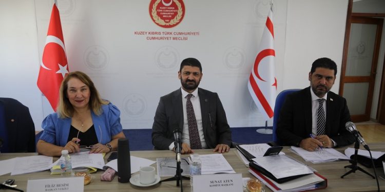 Meclis, İdari, Kamu ve Sağlık İşleri Komitesi gündemindeki yasaları ele aldı