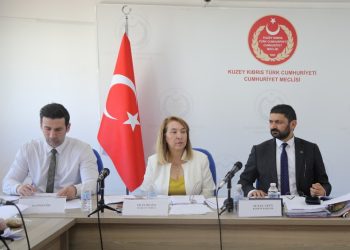 İdari, Kamu ve Sağlık İşleri Komitesi toplandı