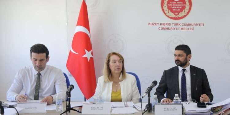İdari, Kamu ve Sağlık İşleri Komitesi toplandı