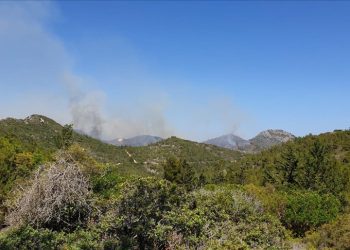 Yangınları önlemeye yönelik tedbirler alındı: Ateşli piknik yasaklandı, orman yolları trafiğe kapatıldı