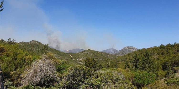 Yangınları önlemeye yönelik tedbirler alındı: Ateşli piknik yasaklandı, orman yolları trafiğe kapatıldı