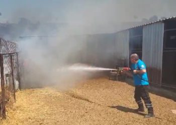 Sivil Savunma ekipleri, Çınarlı bölgesinde çıkan yangını söndürme çalışmalarına katılıyor