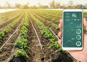 Çukurova Üniversitesi Ziraat Fakültesi Bahçe Bitkileri Bölümü Öğretim Üyesi  İmrak:KKTC’de de tarımda yapay zekalı sulama teknolojilerine geçilmeli