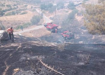Tarım ve Doğal Kaynaklar Bakanlığı, halkı yangınlara karşı tedbirli olmaya çağırdı