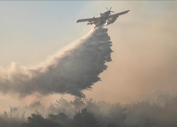 Türkiye’de rekor sıcaklıkların yaşandığı haziranda orman yangınları geçen yıla göre yaklaşık 5 kat arttı