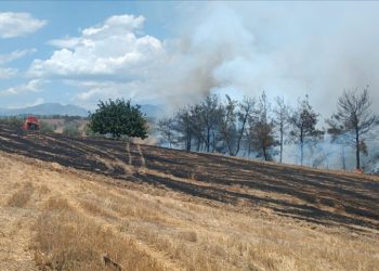 Adana ve İzmir’de çıkan orman yangınlarına müdahale ediliyor
