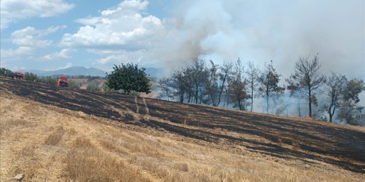 Adana ve İzmir’de çıkan orman yangınlarına müdahale ediliyor