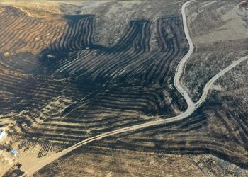 Diyarbakır ve Mardin arasında anız yangını: 5 ölü