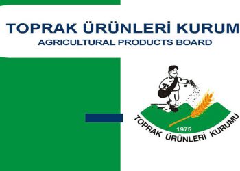 TÜK açıkladı: “İthal donmuş kuzu eti dağıtımına başlandı”