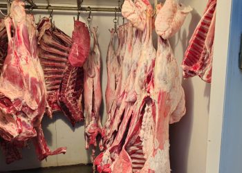 Mayıs ayı içerisinde 27 kasap işletmesi denetlendi…Bir işletmeye cezai işlem uygulandı