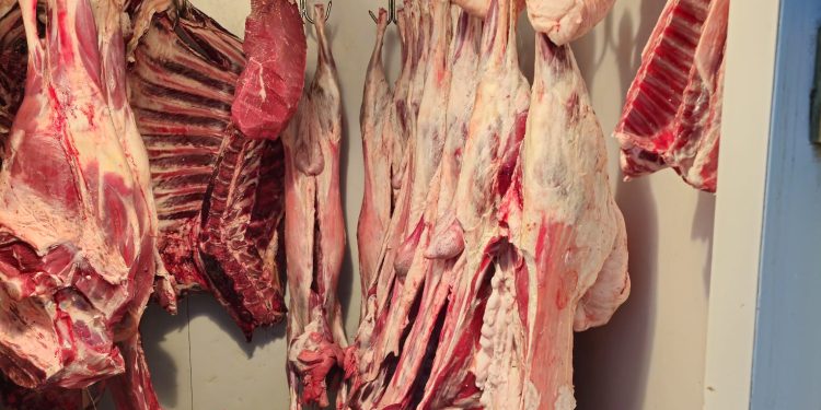 Mayıs ayı içerisinde 27 kasap işletmesi denetlendi…Bir işletmeye cezai işlem uygulandı