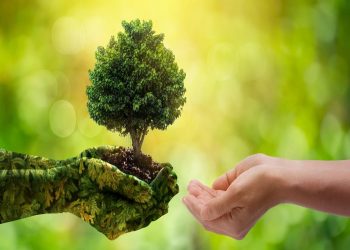 Lefke Çevre ve Ekoloji Derneği: “Bu yıl katı atık çöp sorununu gündeme taşımayı görev bildik”