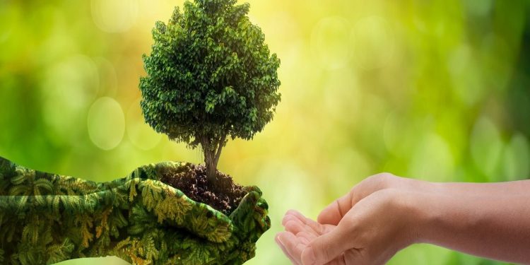 Lefke Çevre ve Ekoloji Derneği: “Bu yıl katı atık çöp sorununu gündeme taşımayı görev bildik”