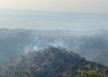 Mersinlik Tatlısu bölgesindeki yangına elektrik telleri sebep oldu
