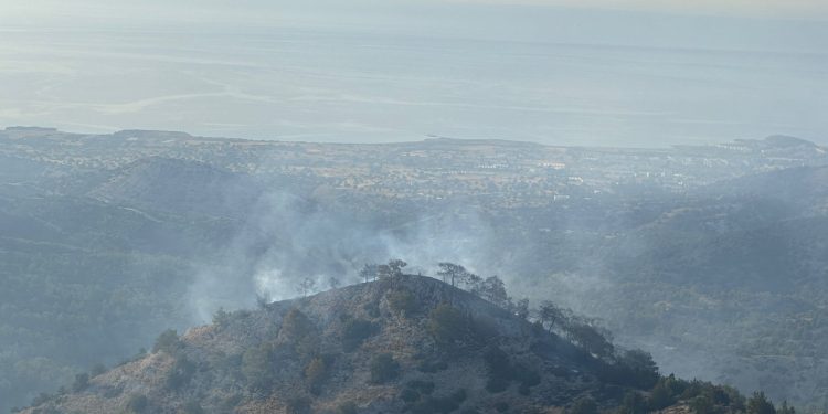 Mersinlik Tatlısu bölgesindeki yangına elektrik telleri sebep oldu