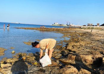 Beş bölgede sahil temizliği yapılıyor