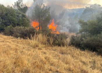 Polis yangının kontrol altına alındığını açıkladı