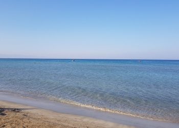 “59 plajdan dördünün değerleri ‘iyi’ diğerleri ‘mükemmel’”