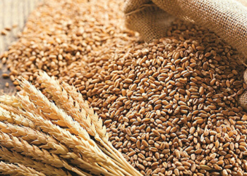 Zahire fiyatları belirlendi.. Yemlik arpa 9.76 TL, tohumluk arpa 10.00 TL