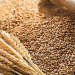 Zahire fiyatları belirlendi.. Yemlik arpa 9.76 TL, tohumluk arpa 10.00 TL