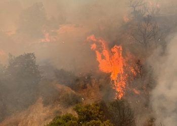 Ağıllar Köyü’nde gece yarısı yeniden alevlenen yangın kontrol altına alındı, soğutma çalışmaları yapıldı