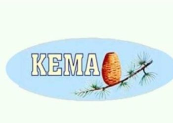 KEMA: “Beşparmak ormanları Orman Dairesi’ndeki eksikler yüzünden büyük yangın riski altında”