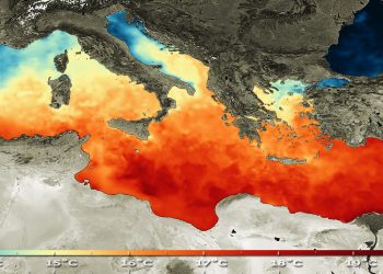 Akdeniz’de deniz suyu sıcaklığının 31 dereceyle rekor seviyeye ulaşması bekleniyor