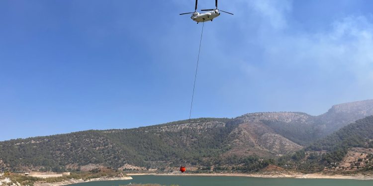 Muğla’nın Milas ilçesinde orman yangını çıktı