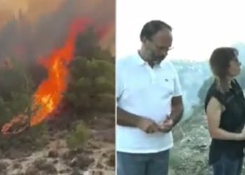 Yangında 900 dönümlük arazi zarar gördü