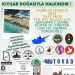 DAÜ Beach Club sahilinde, yarın sabah sahil bitkileri ve kaplumbağa yuvaları gözlem yürüyüşü yapılacak