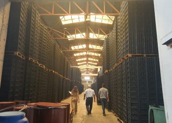 KTSO: “Narenciye kasası üreticilerinin elinde 1 milyon 270 bin kasa kaldı”