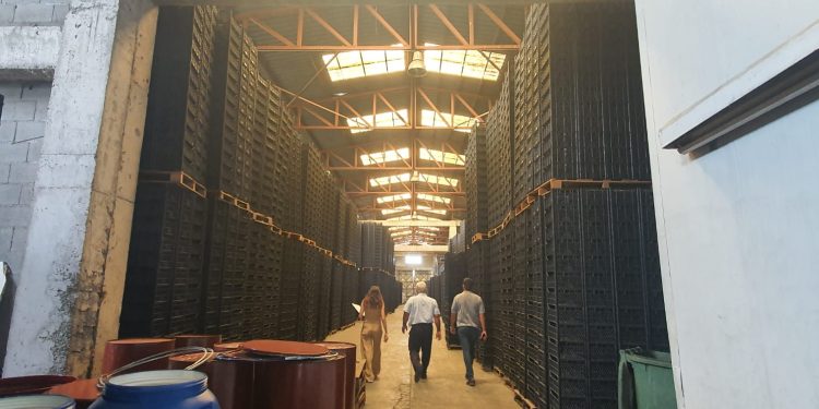 KTSO: “Narenciye kasası üreticilerinin elinde 1 milyon 270 bin kasa kaldı”